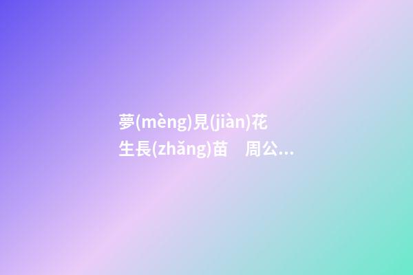夢(mèng)見(jiàn)花生長(zhǎng)苗　周公解夢(mèng)之夢(mèng)到花生長(zhǎng)苗